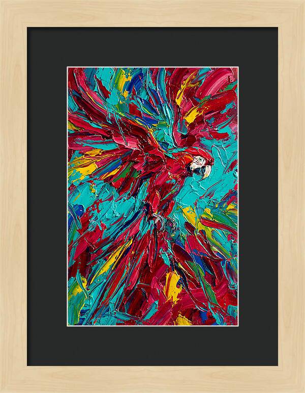 Colorful Macaw Soaring High