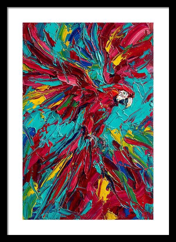 Colorful Macaw Soaring High