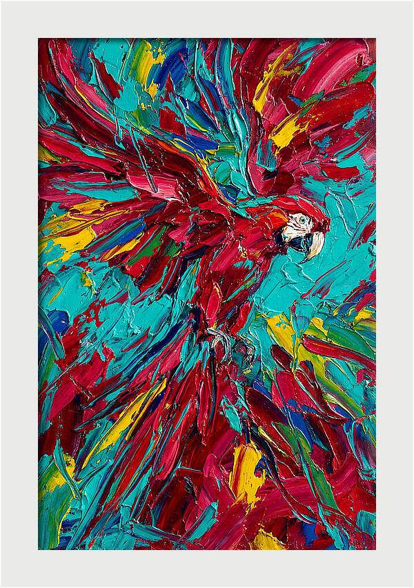 Colorful Macaw Soaring High