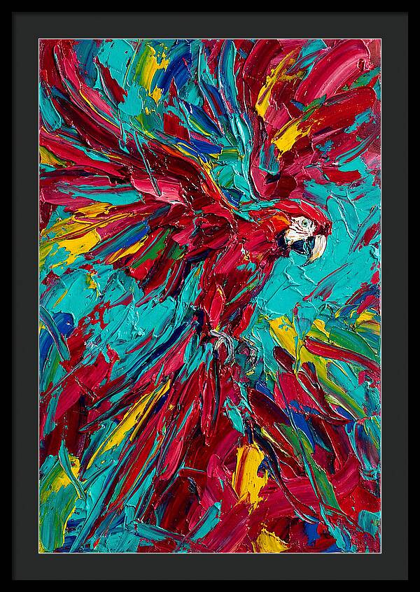 Colorful Macaw Soaring High
