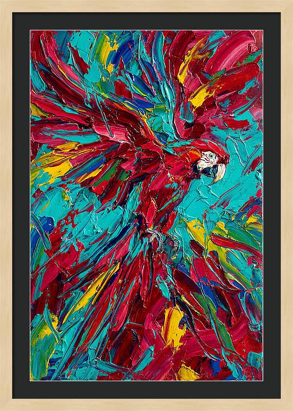 Colorful Macaw Soaring High