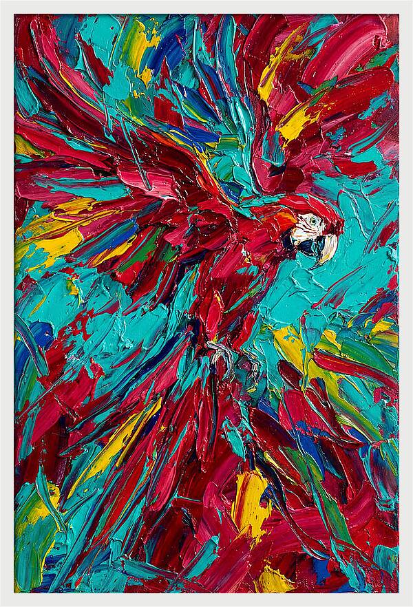 Colorful Macaw Soaring High