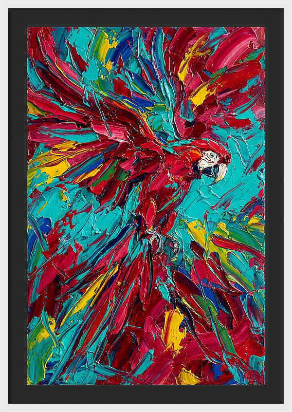 Colorful Macaw Soaring High
