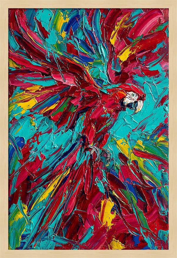 Colorful Macaw Soaring High