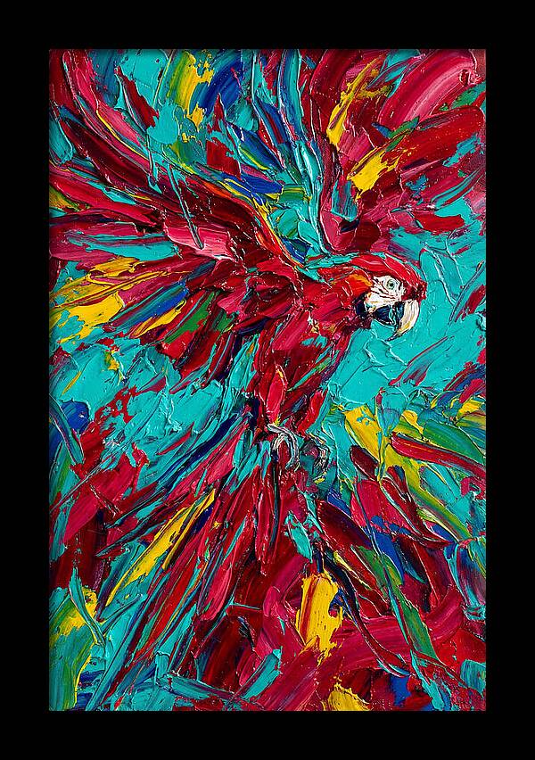 Colorful Macaw Soaring High