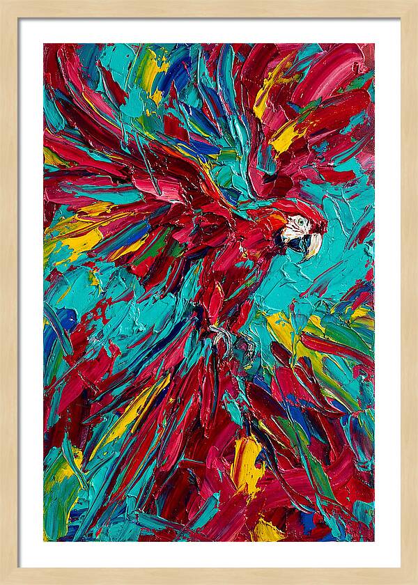 Colorful Macaw Soaring High