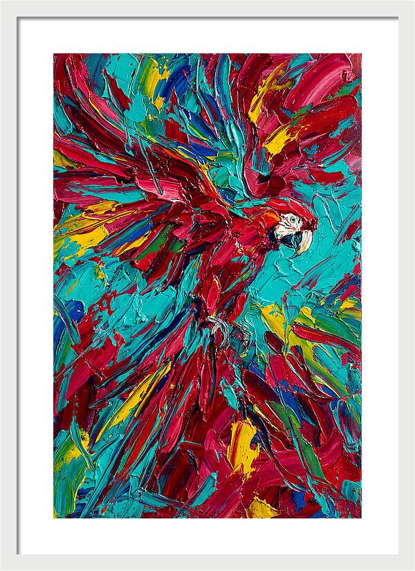 Colorful Macaw Soaring High