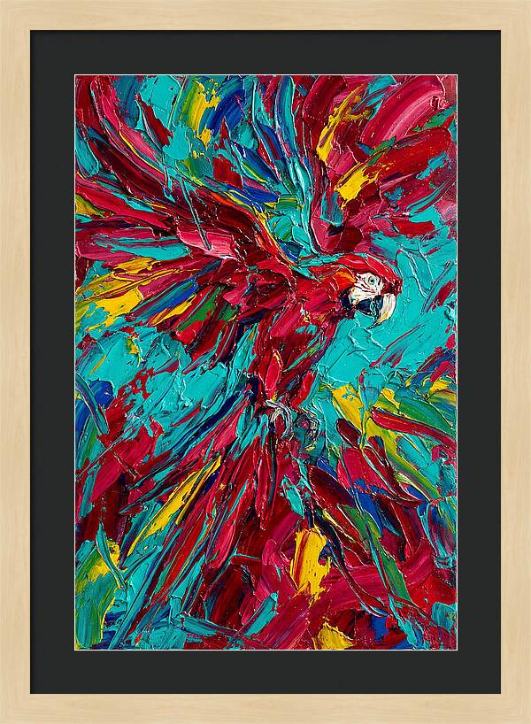 Colorful Macaw Soaring High
