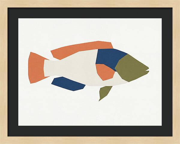 Colorful Minimalist Wrasse