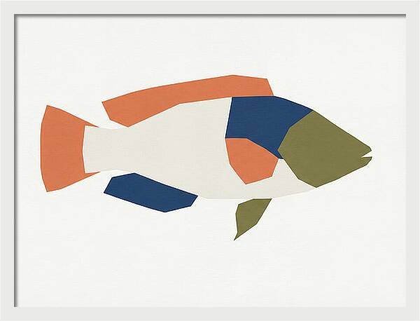 Colorful Minimalist Wrasse