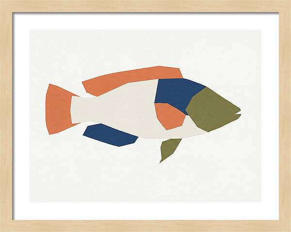 Colorful Minimalist Wrasse