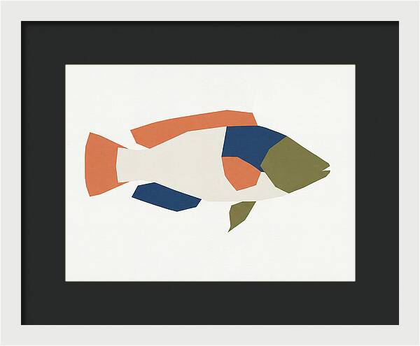 Colorful Minimalist Wrasse
