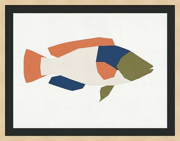Colorful Minimalist Wrasse