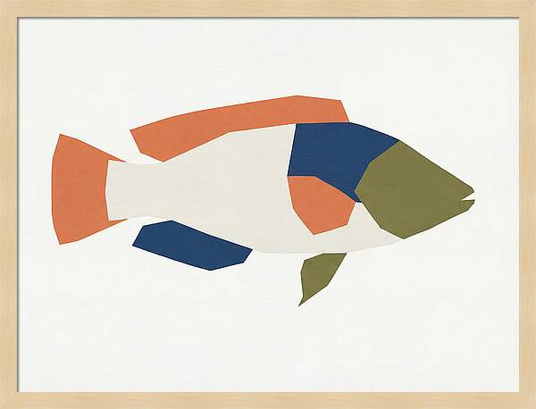 Colorful Minimalist Wrasse