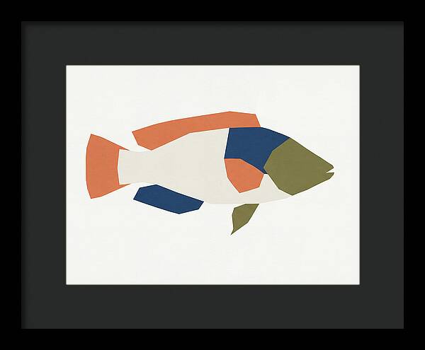 Colorful Minimalist Wrasse