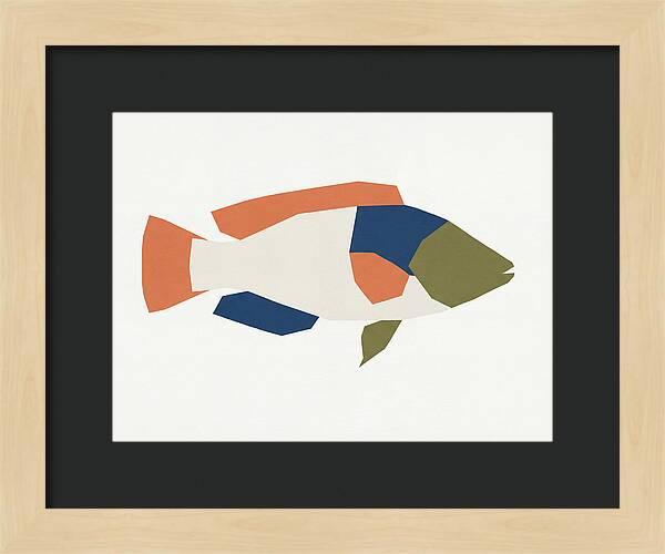 Colorful Minimalist Wrasse