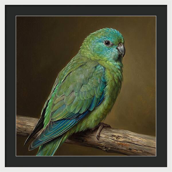 Colorful Parakeet Closeup