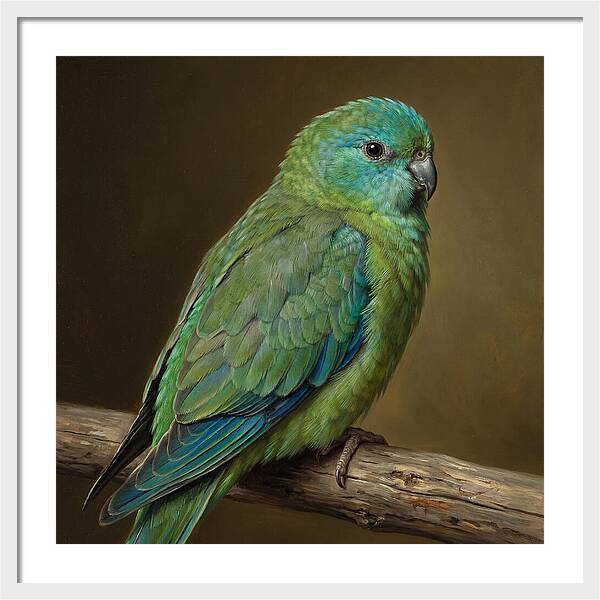 Colorful Parakeet Closeup