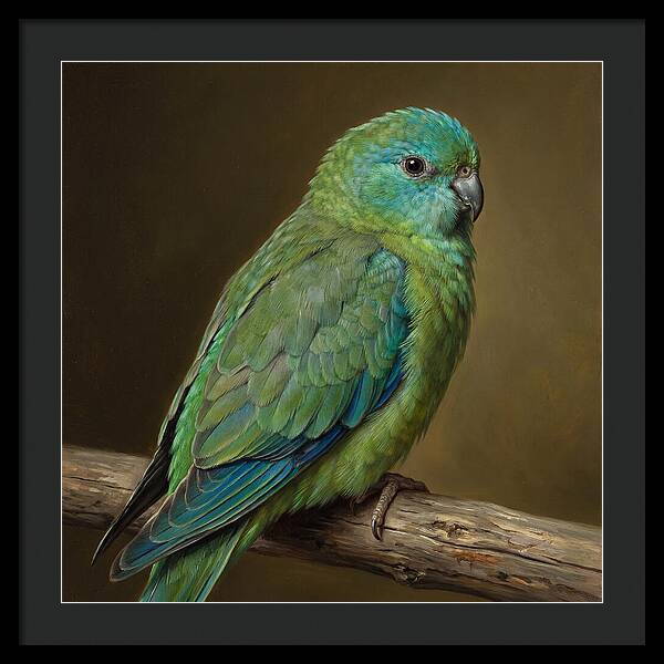 Colorful Parakeet Closeup
