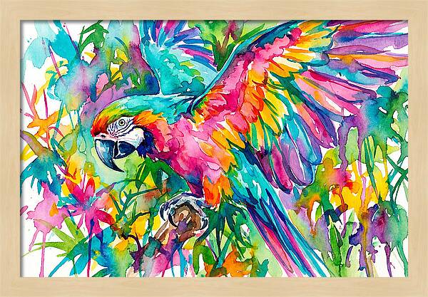 Colorful Parrot In Flight