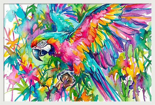Colorful Parrot In Flight