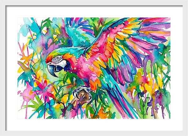 Colorful Parrot In Flight