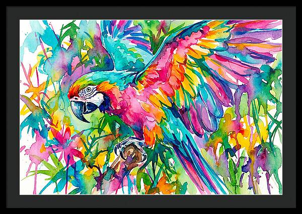 Colorful Parrot In Flight