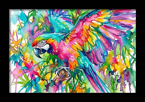 Colorful Parrot In Flight