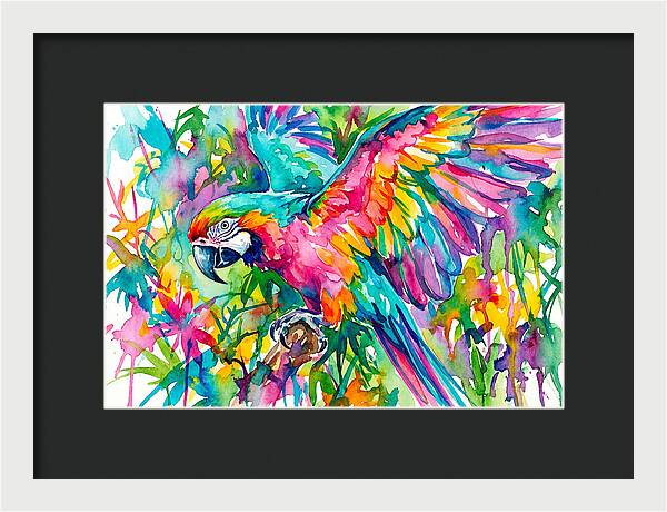 Colorful Parrot In Flight