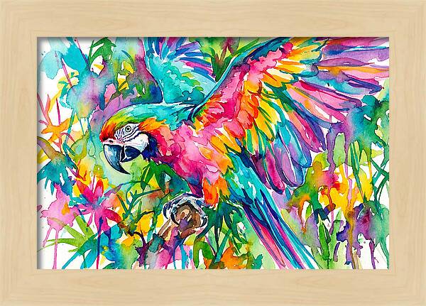 Colorful Parrot In Flight