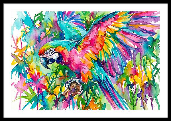 Colorful Parrot In Flight