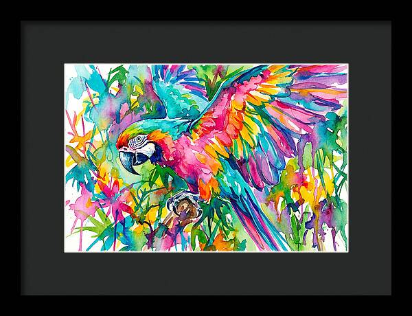 Colorful Parrot In Flight