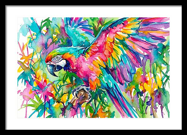 Colorful Parrot In Flight