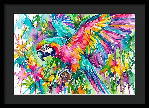 Colorful Parrot In Flight