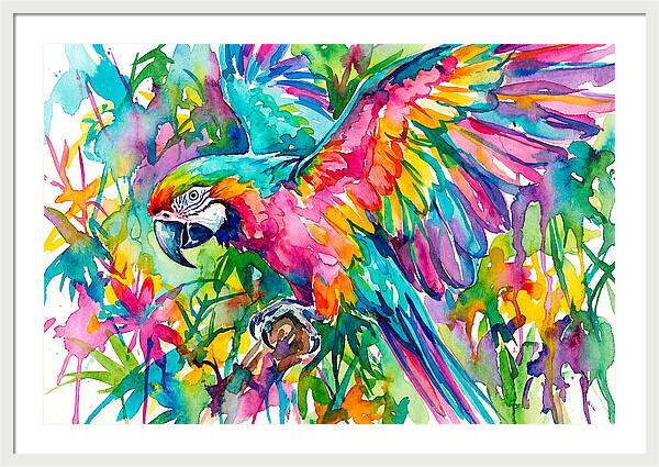 Colorful Parrot In Flight