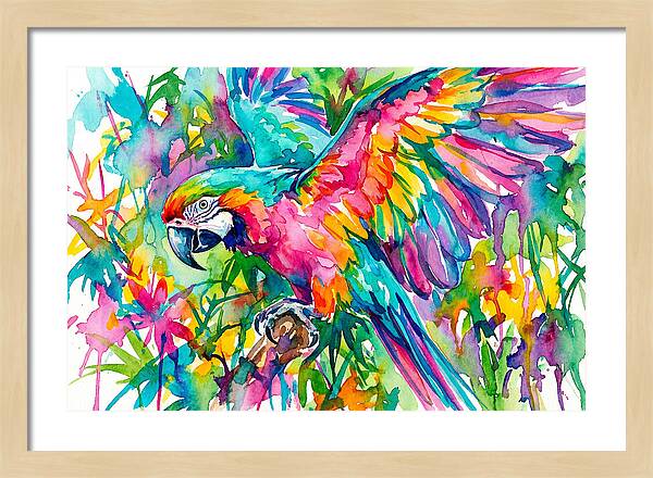 Colorful Parrot In Flight