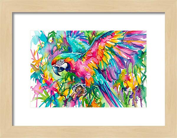 Colorful Parrot In Flight