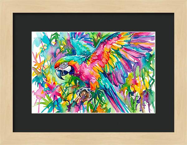 Colorful Parrot In Flight