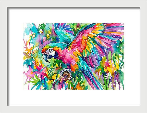 Colorful Parrot In Flight