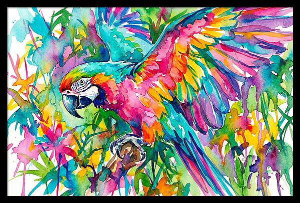 Colorful Parrot In Flight