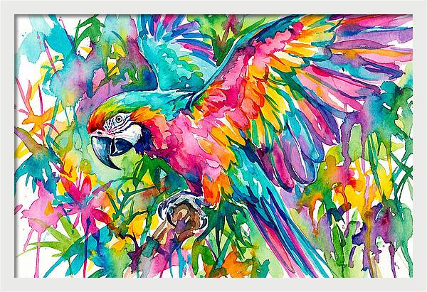 Colorful Parrot In Flight