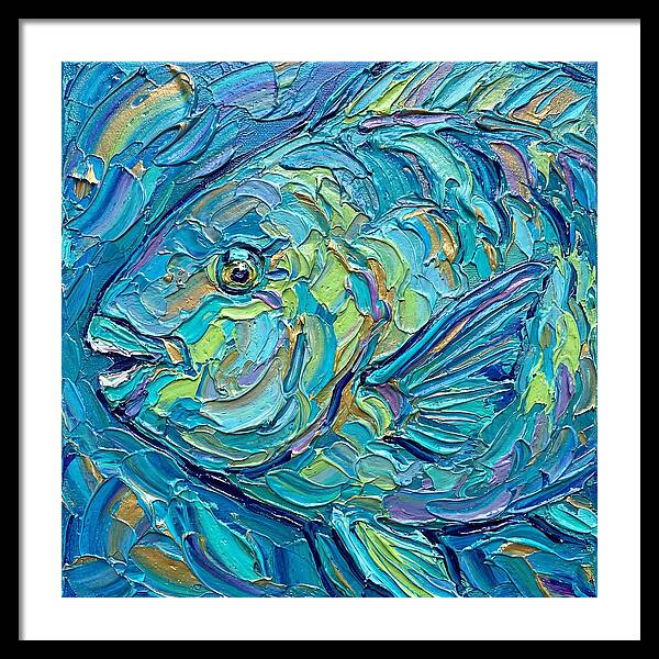 Colorful Parrotfish In Coral Reef