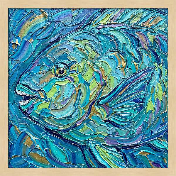 Colorful Parrotfish In Coral Reef