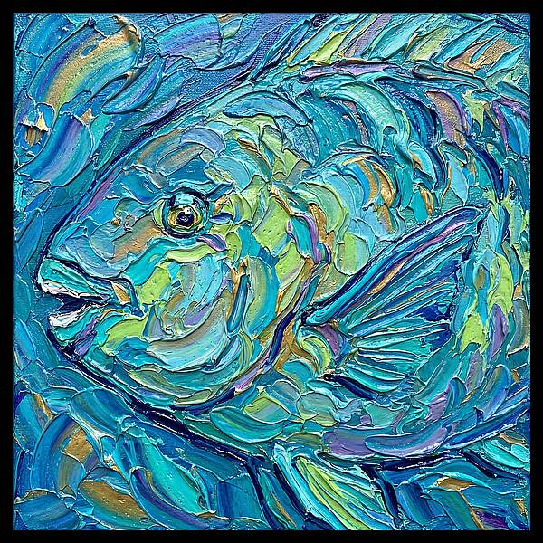 Colorful Parrotfish In Coral Reef