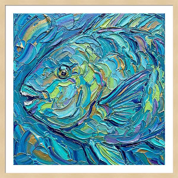 Colorful Parrotfish In Coral Reef