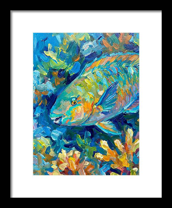 Colorful Parrotfish Swimming Below