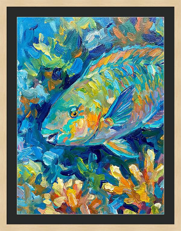 Colorful Parrotfish Swimming Below