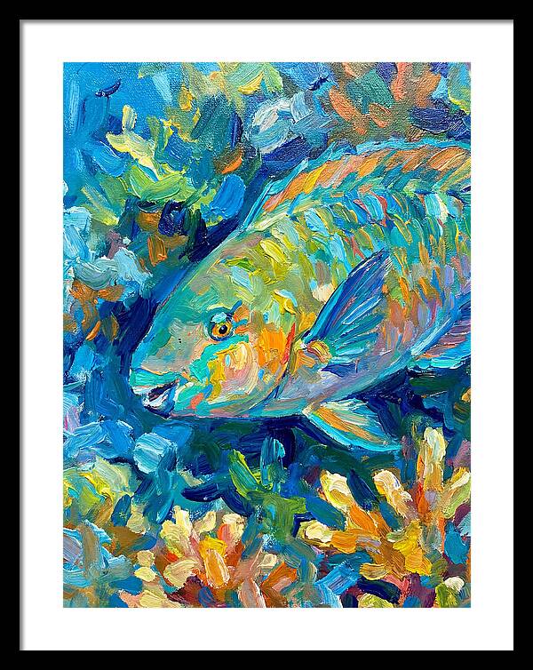 Colorful Parrotfish Swimming Below