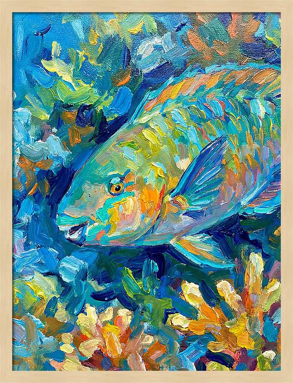 Colorful Parrotfish Swimming Below