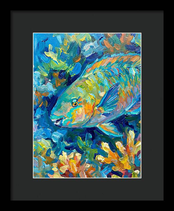 Colorful Parrotfish Swimming Below